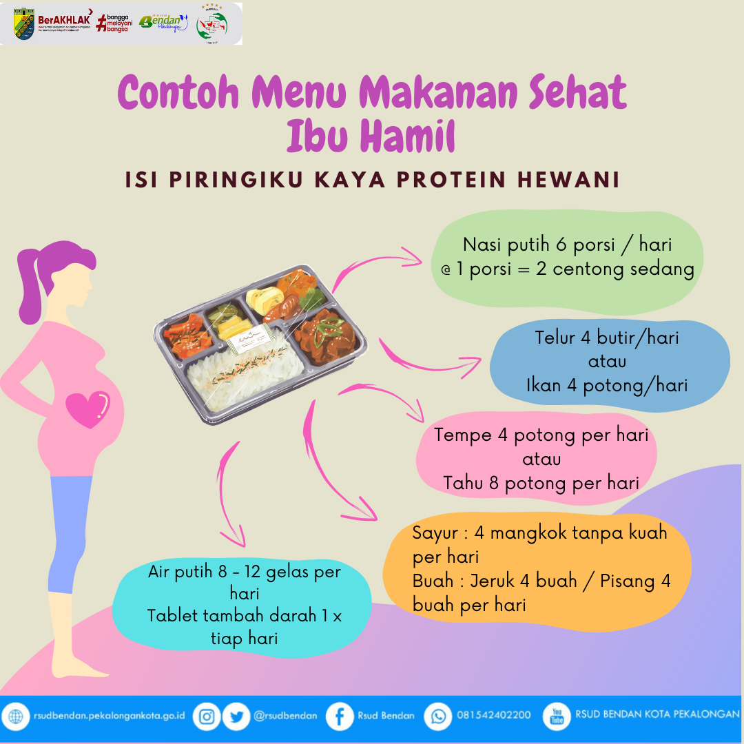 Makanan Sehat untuk Ibu Hamil